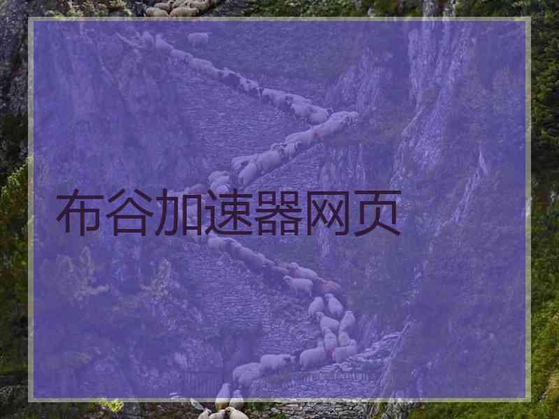 布谷加速器网页