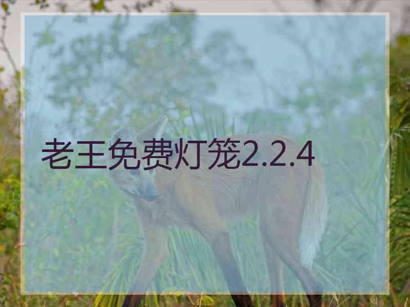 老王免费灯笼2.2.4